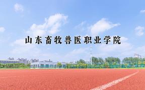 山东畜牧兽医职业学院近三年在四川录取分数线(含2021-2023最低分)