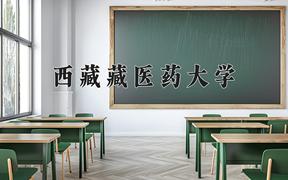 西藏藏医药大学怎么样？全国排名第几位