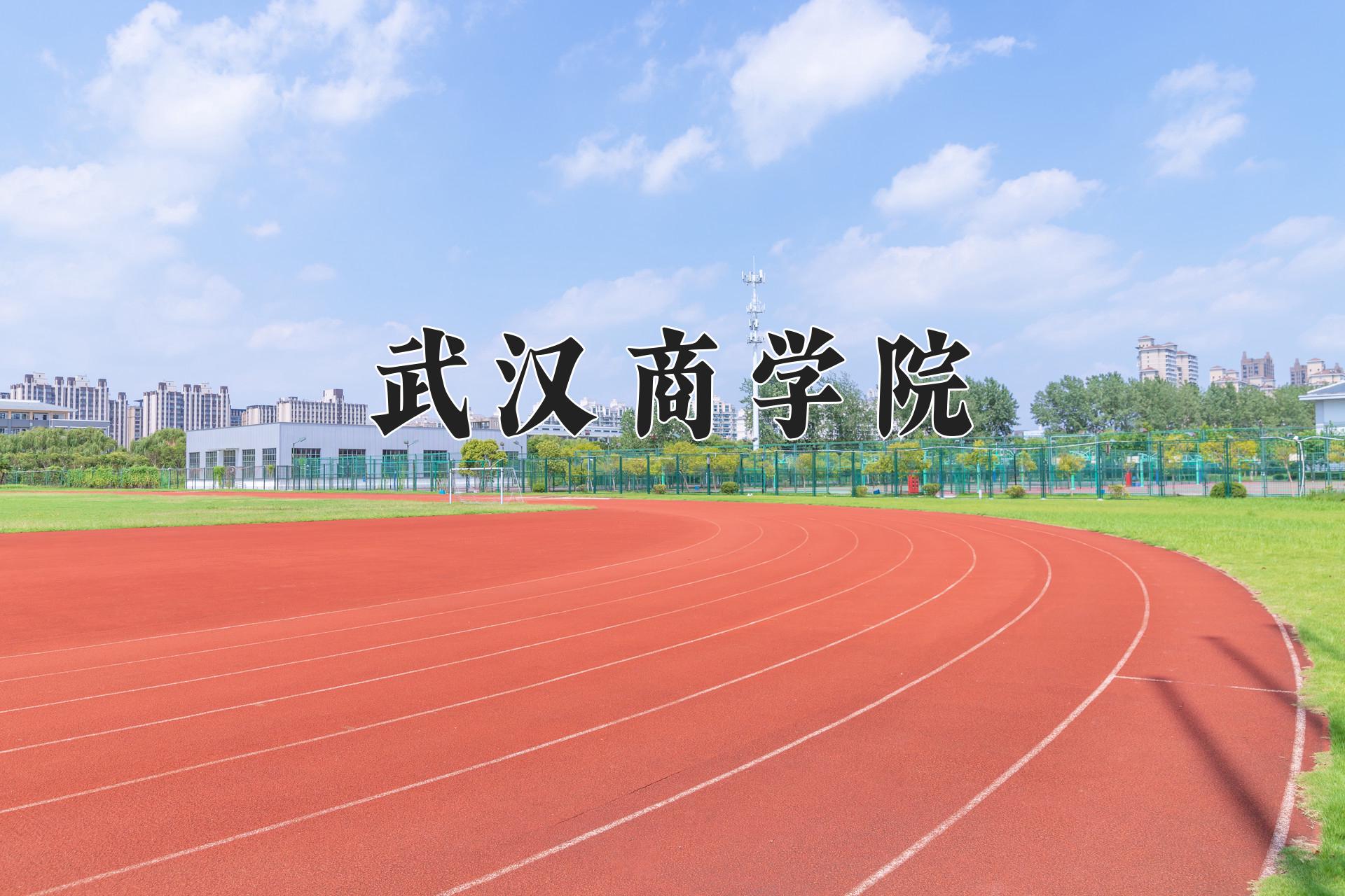 武汉商学院