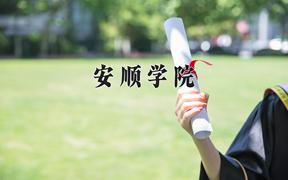 安顺学院最厉害的专业-2024安顺学院最好专业