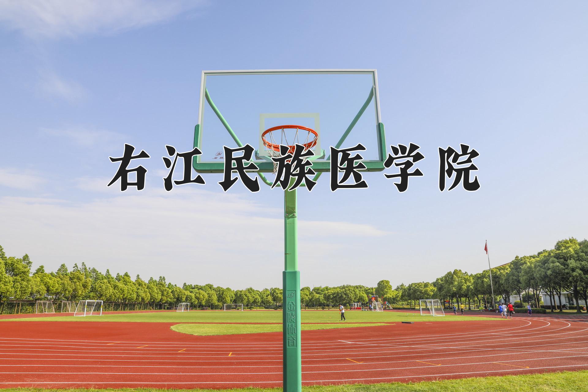 右江民族医学院