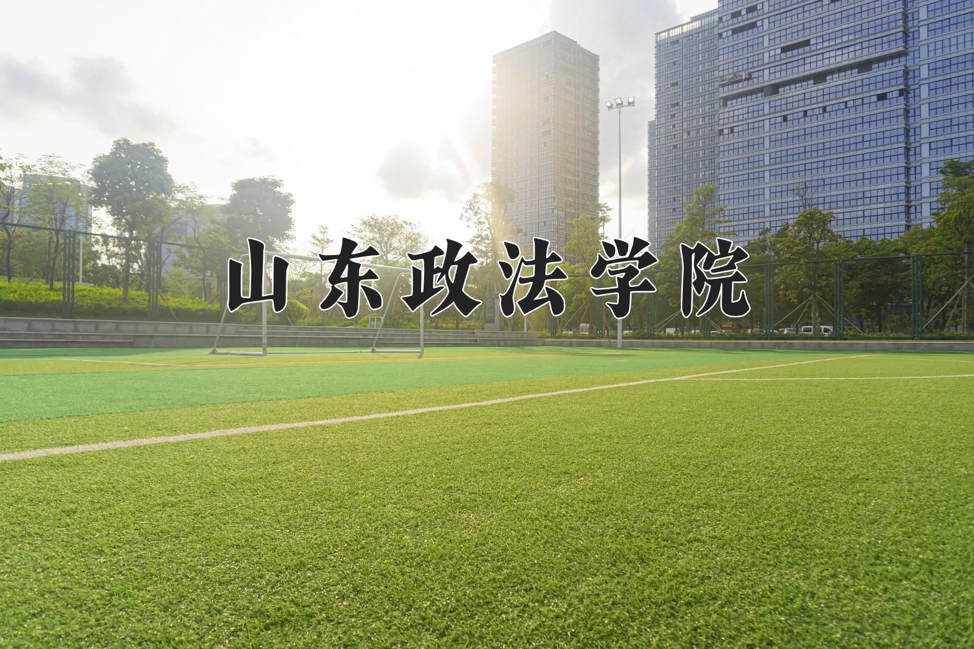 山东政法学院