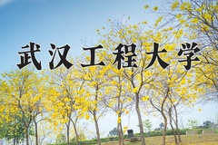 武汉工程大学最厉害的专业-2024武汉工程大学最好专业
