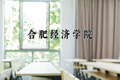 合肥经济学院最厉害的专业-2024合肥经济学院最好专业