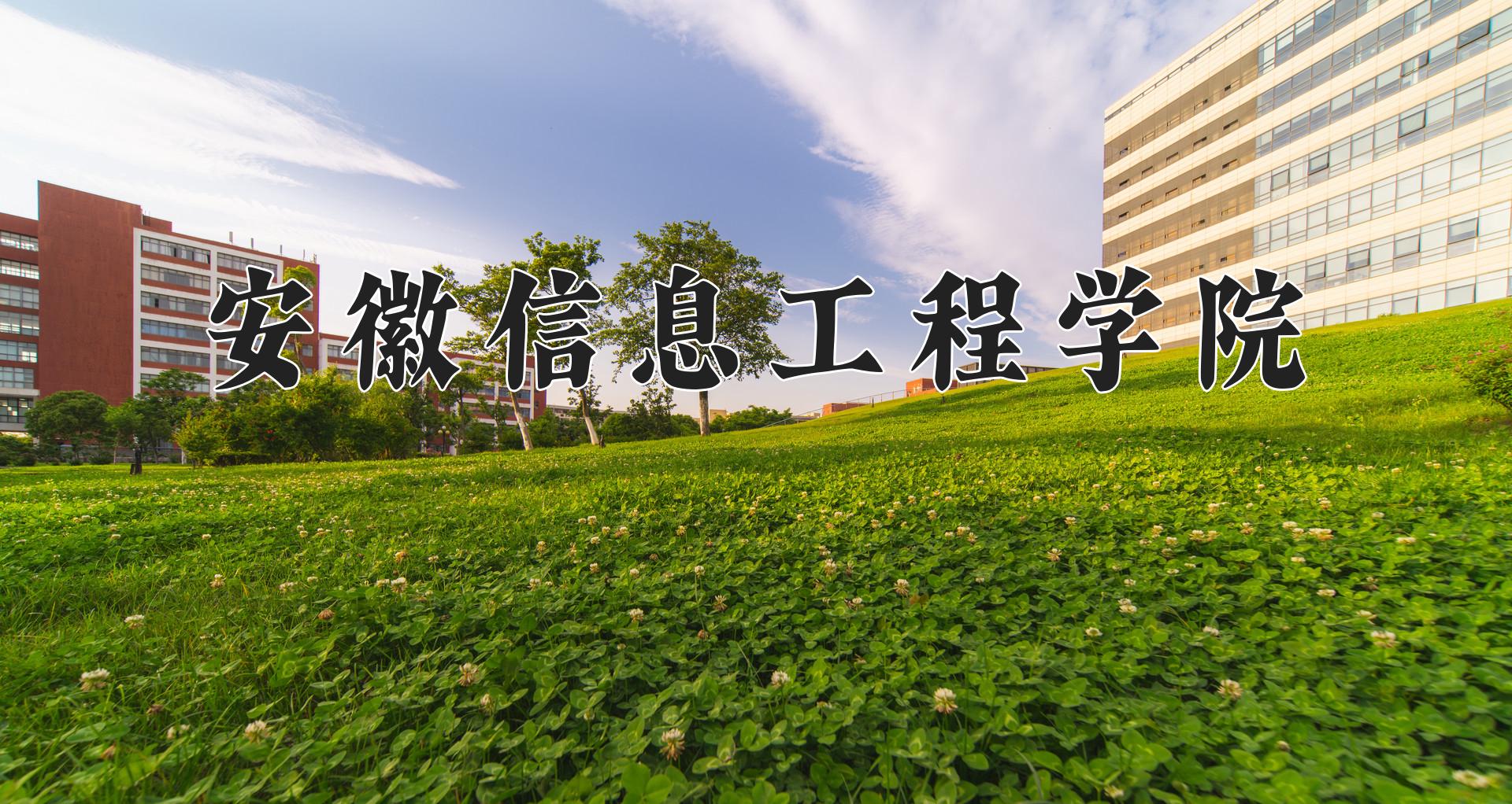 安徽信息工程学院