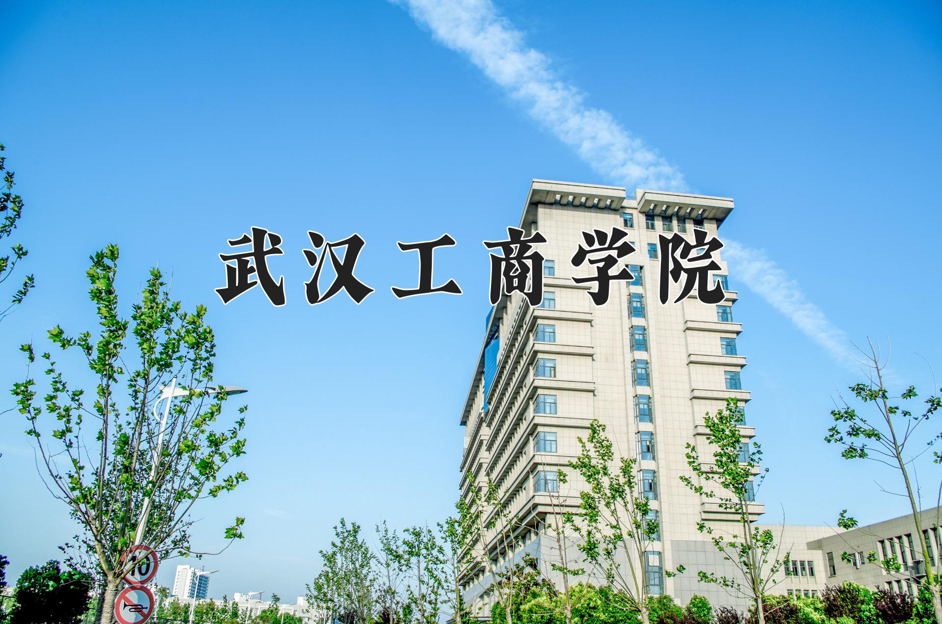 武汉工商学院