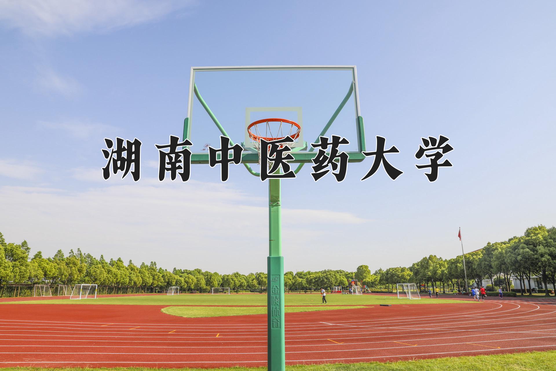 湖南中医药大学