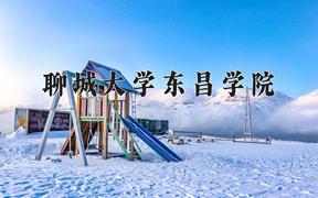 聊城大学东昌学院最厉害的专业-2024聊城大学东昌学院最好专业