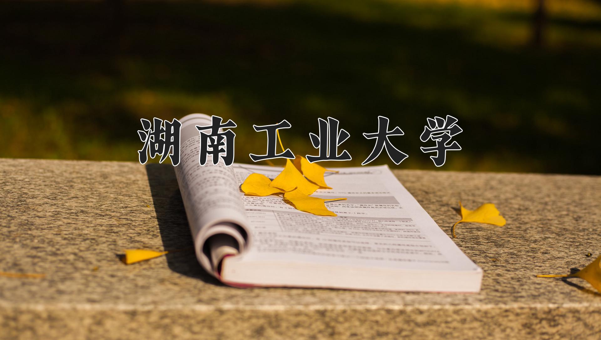 湖南工业大学