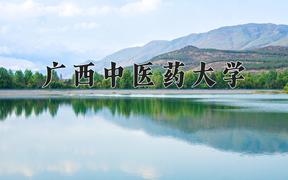 广西中医药大学最厉害的专业-2024广西中医药大学最好专业