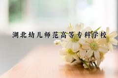 2024年湖北幼儿师范高等专科学校在山西计划招生人数（附学费及专业录取分)