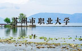 2024苏州市职业大学录取分数线：浙江最低492分