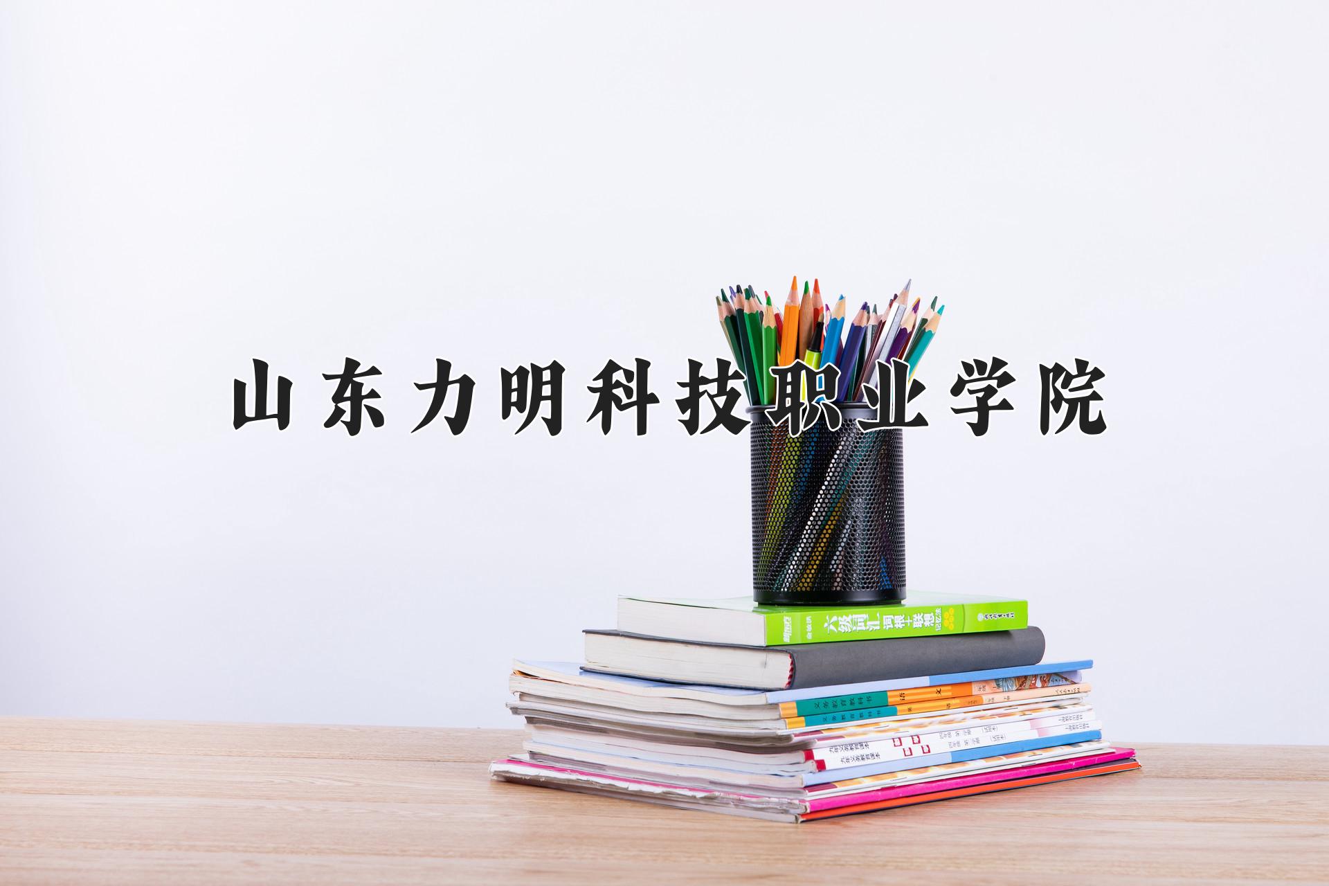 山东力明科技职业学院