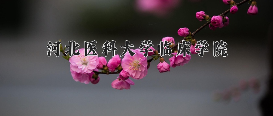 河北医科大学临床学院