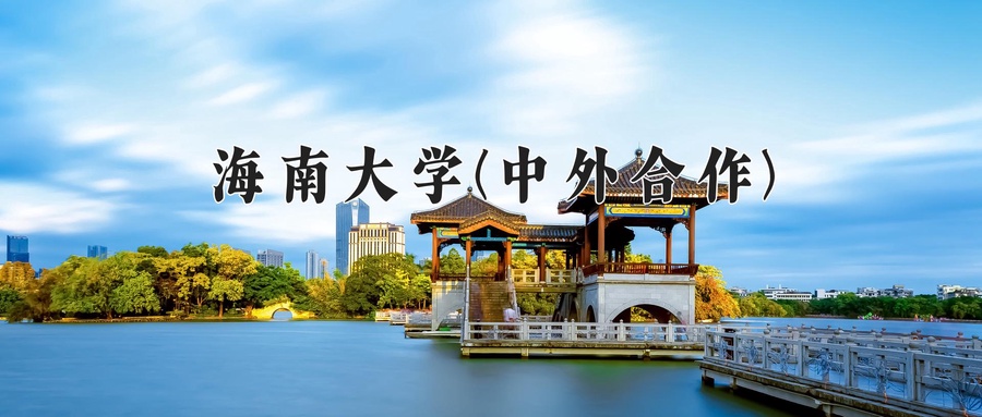 海南大学(中外合作)