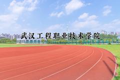 2024武汉工程职业技术学院录取分数线：浙江最低436分