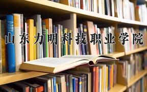 2024山东力明科技职业学院录取分数线：浙江最低430分