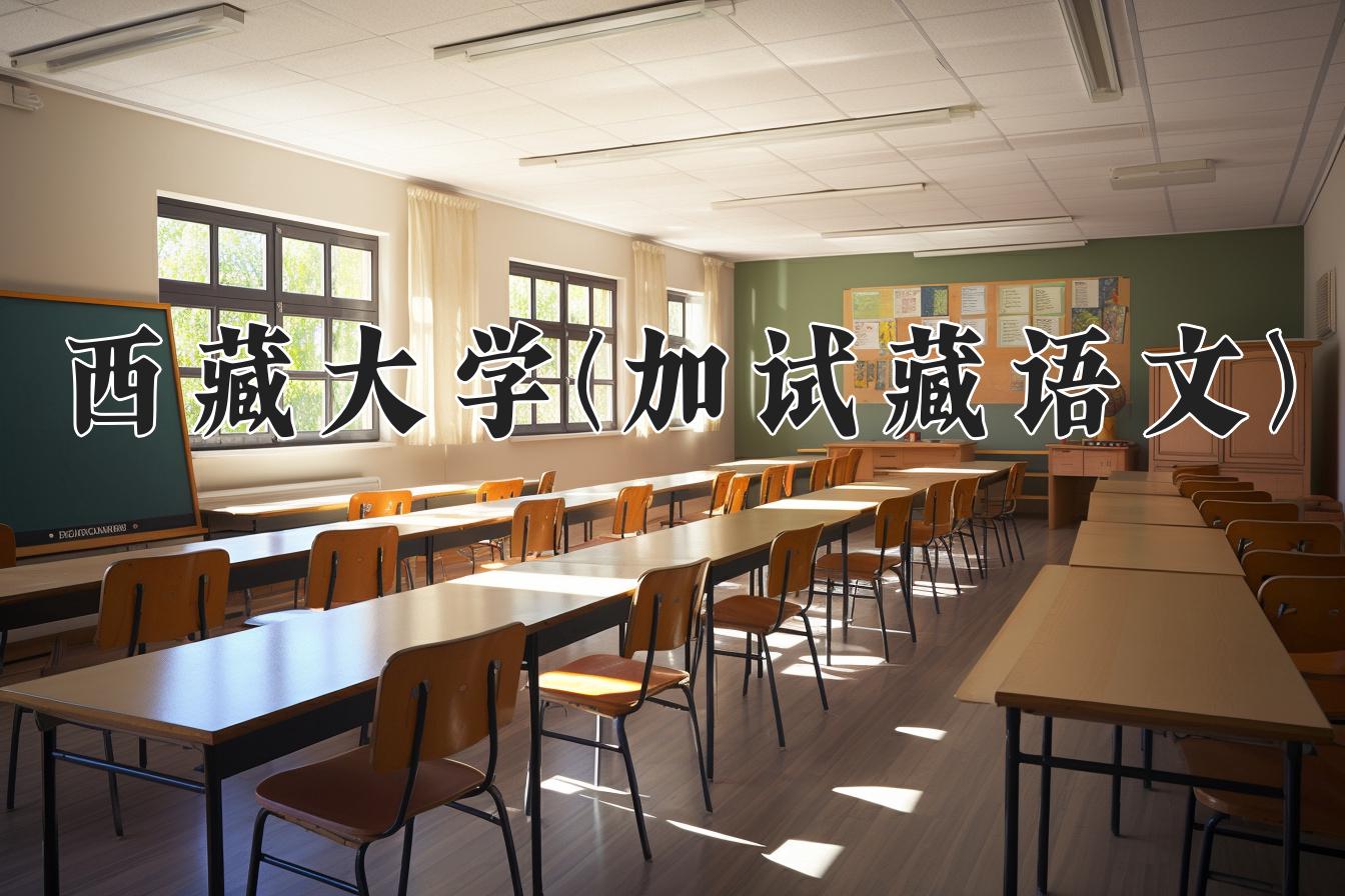 西藏大学(加试藏语文)