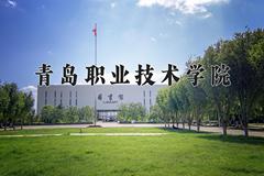 2024年青岛职业技术学院在山西计划招生人数（附学费及专业录取分)