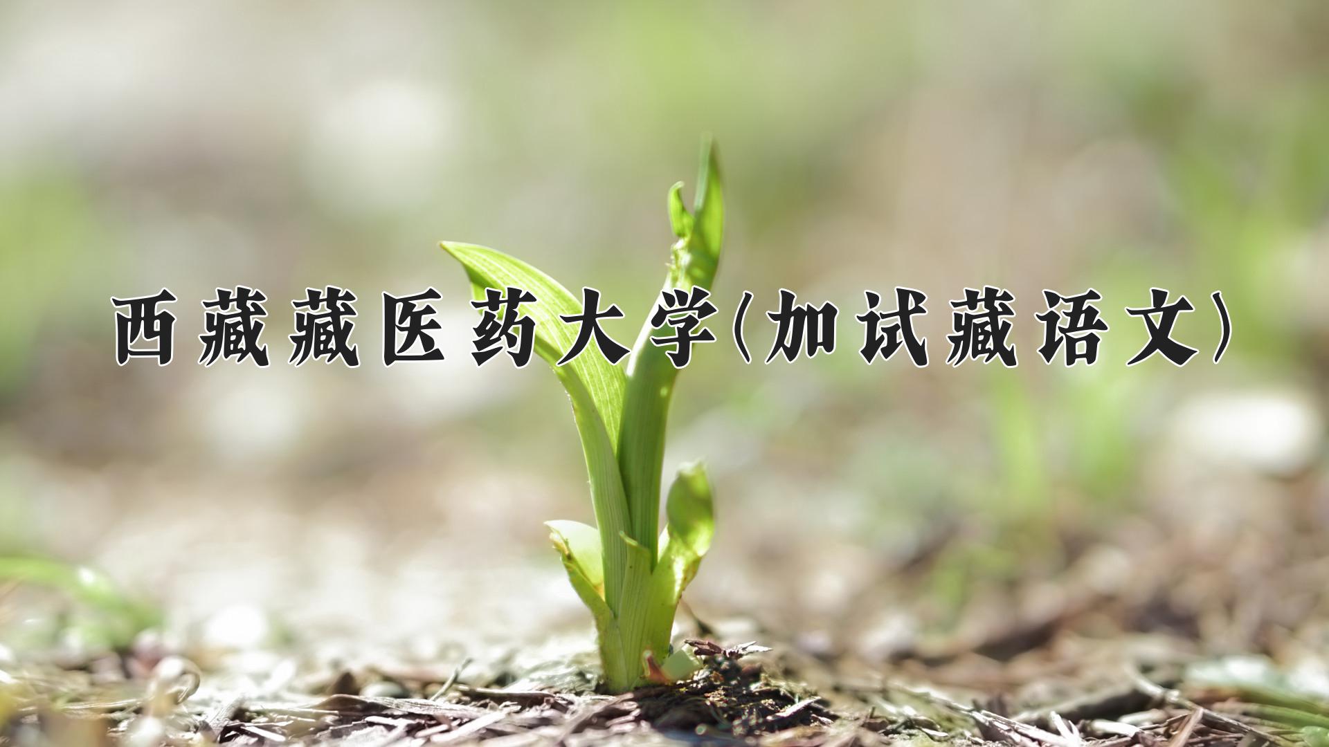 西藏藏医药大学(加试藏语文)