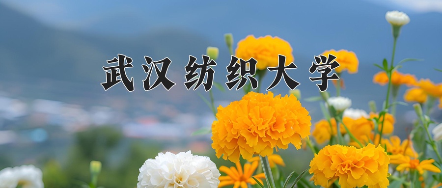 武汉纺织大学