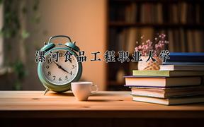 2024年漯河食品工程职业大学在山西计划招生人数（附学费及专业录取分)