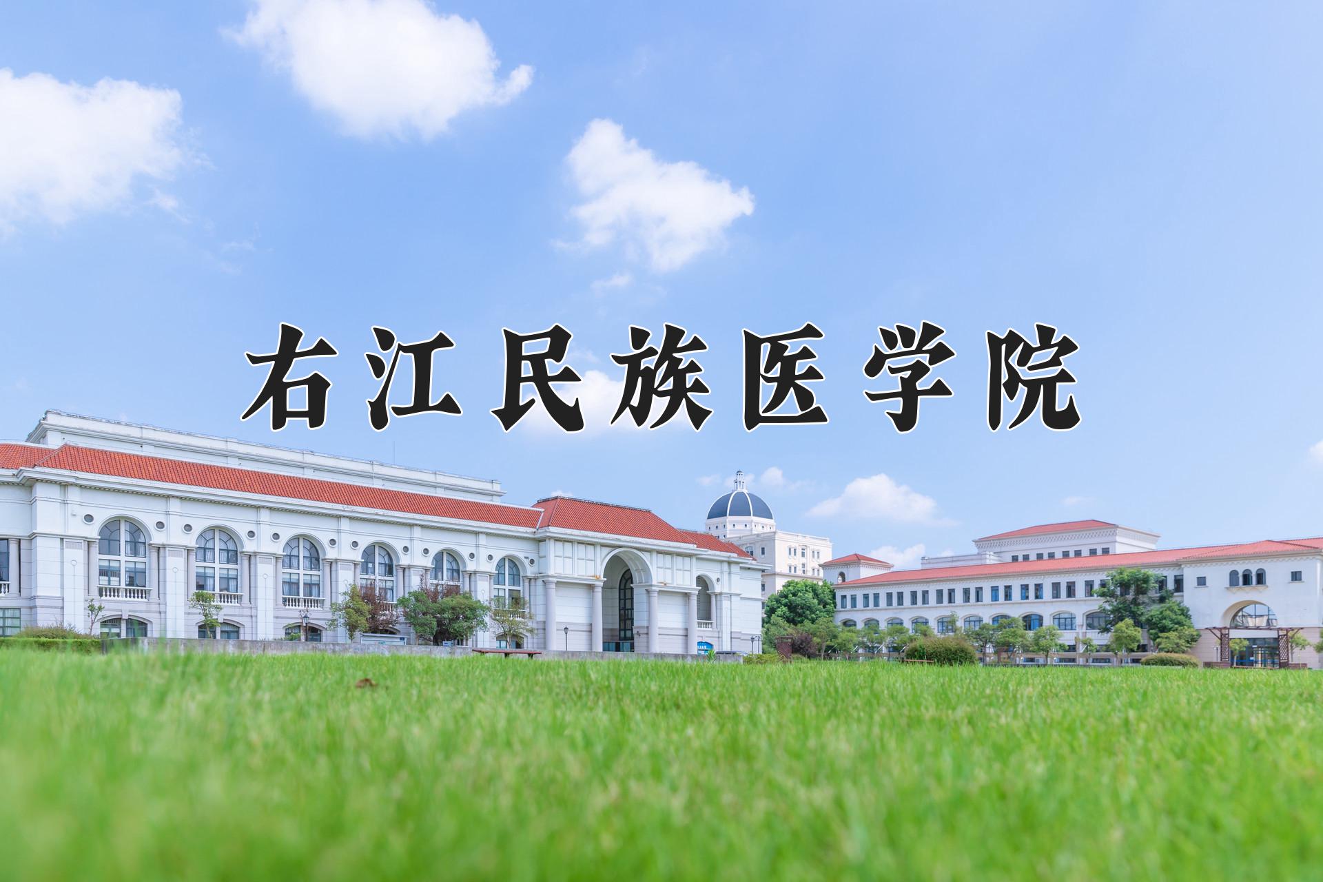 右江民族医学院