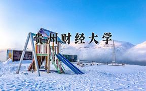 2024贵州财经大学录取分数线：浙江最低492分