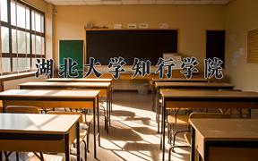 2024湖北大学知行学院录取分数线：浙江最低479分