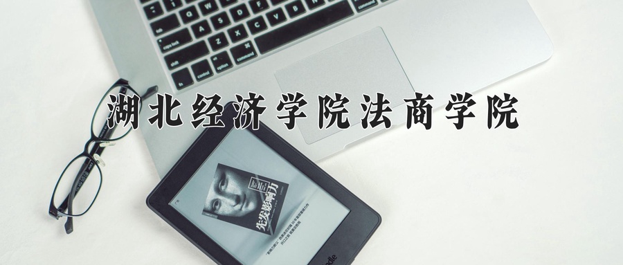 湖北经济学院法商学院