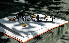 云南572分能上什么大学？附2025年可以报考的大学名单