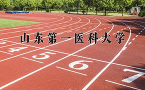 2024山东第一医科大学录取分数线：浙江最低536分