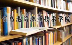 2024年青岛港湾职业技术学院在山西计划招生人数（附学费及专业录取分)