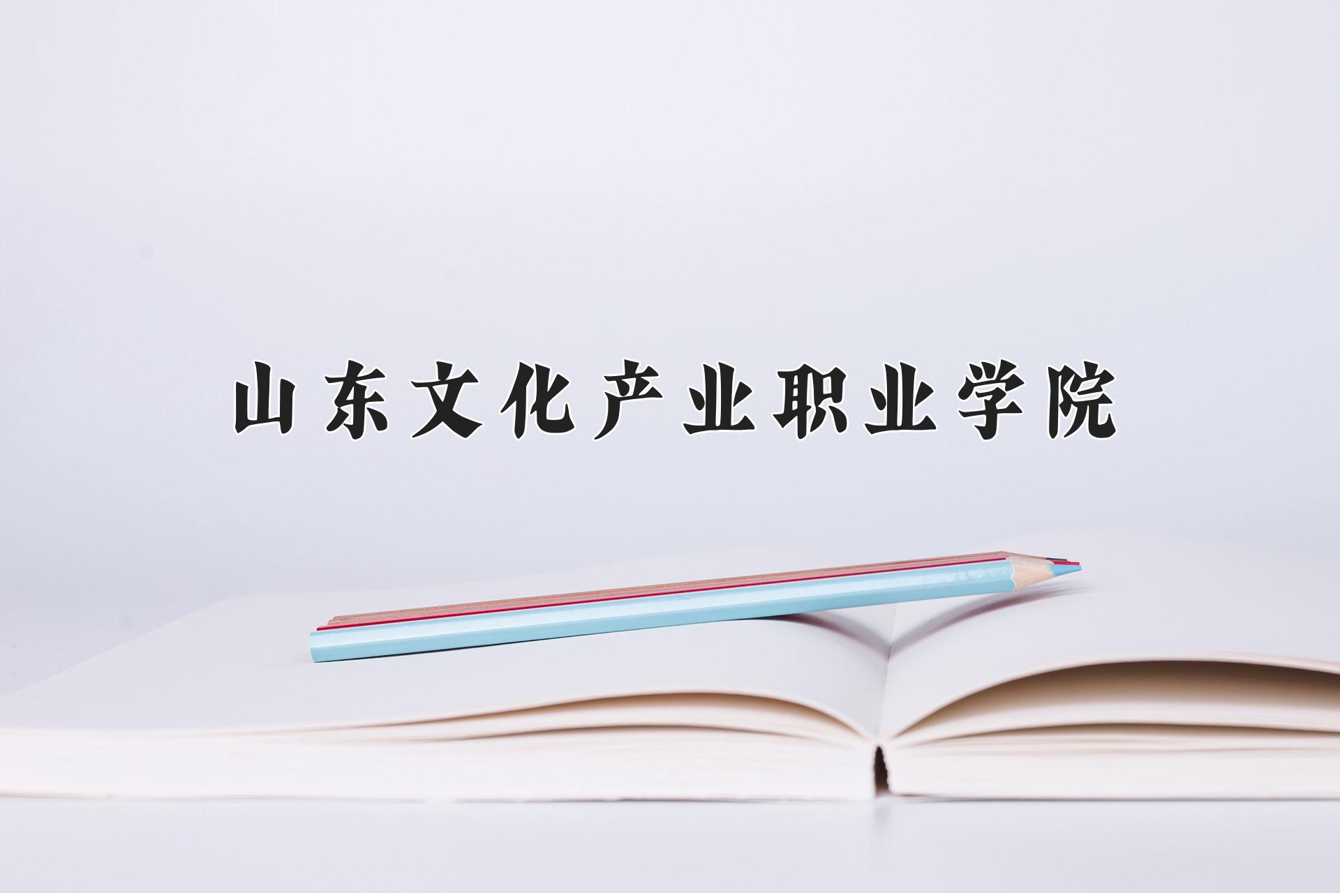 山东文化产业职业学院