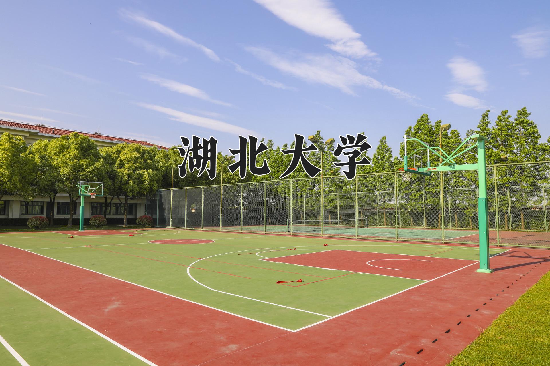 湖北大学