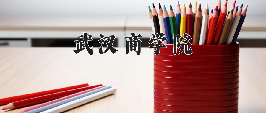 武汉商学院
