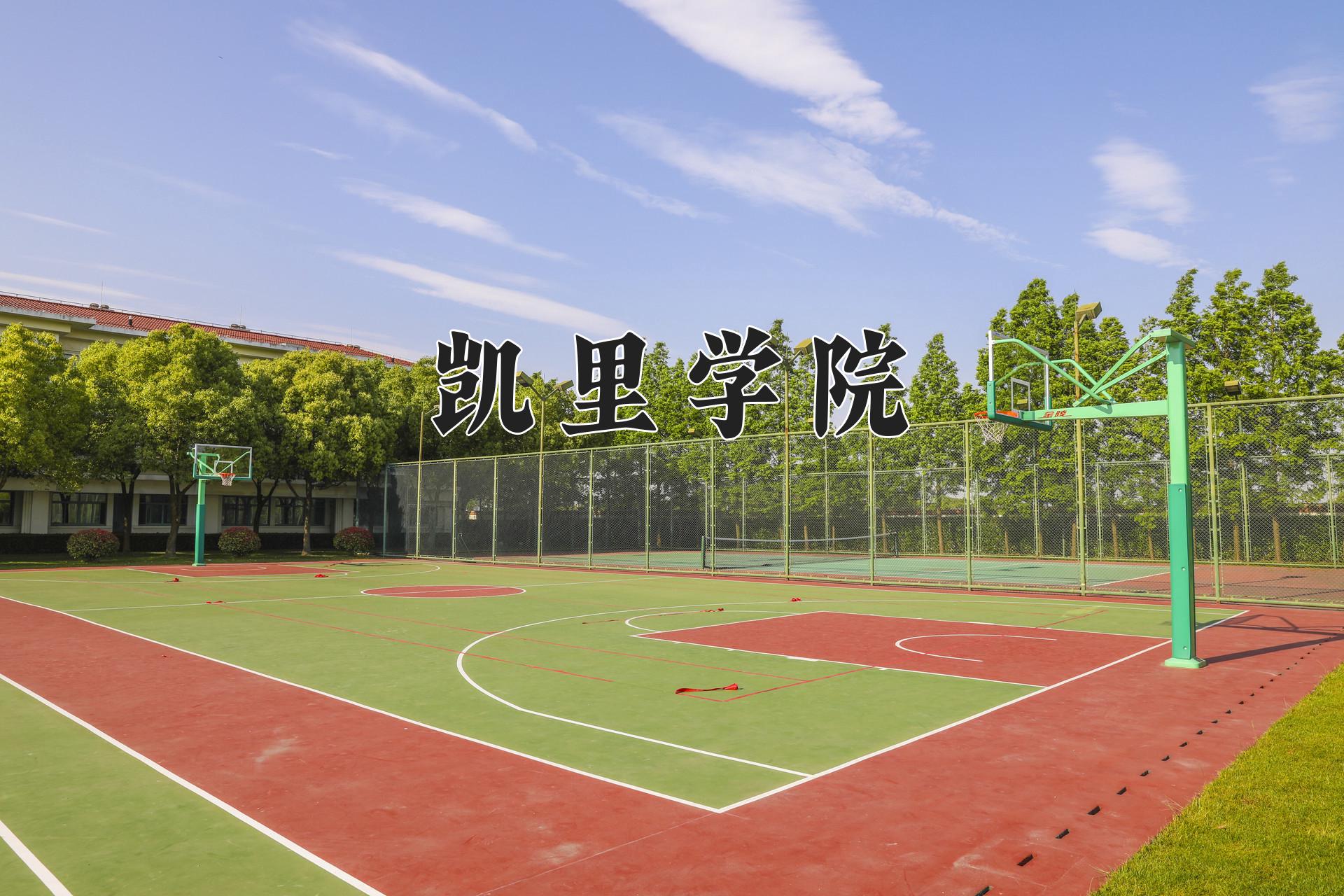 凯里学院