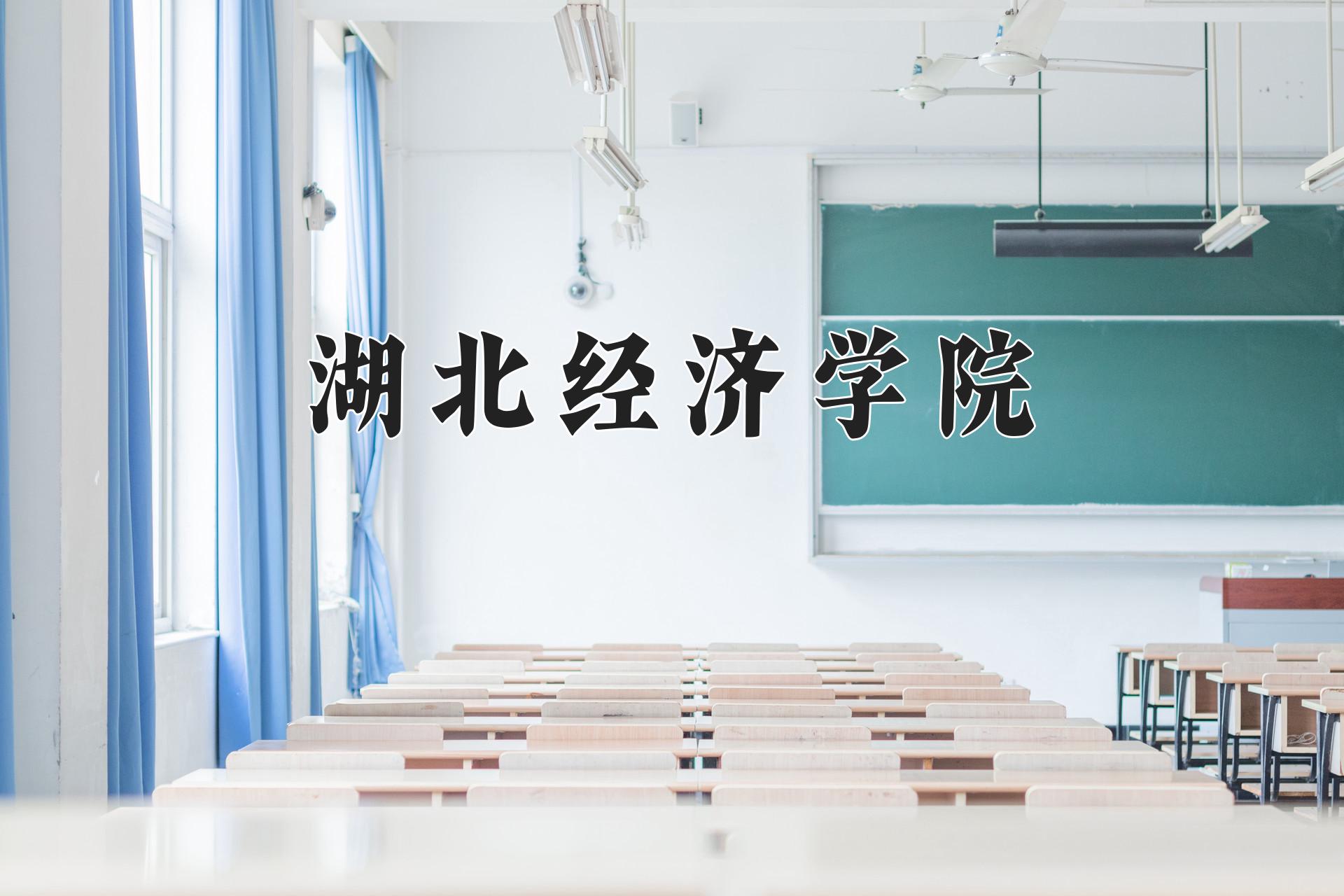 湖北经济学院