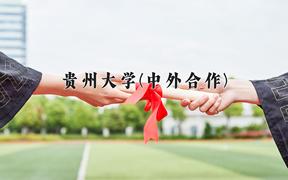 2024贵州大学(中外合作)录取分数线及位次一览：四川考生2025填报参考