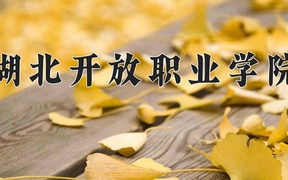 2024湖北开放职业学院录取分数线及位次一览：重庆考生2025填报参考
