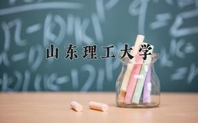 2024山东理工大学录取分数线及位次一览：重庆考生2025填报参考