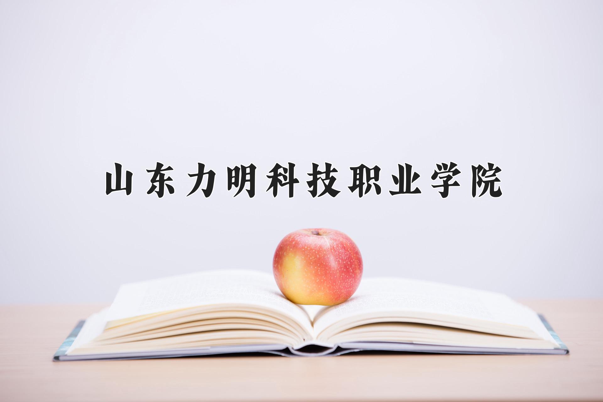 山东力明科技职业学院