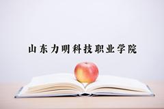 2024山东力明科技职业学院录取分数线及位次一览：四川考生2025填报参考