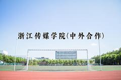 2024浙江传媒学院(中外合作)录取分数线及位次一览：四川考生2025填报参考