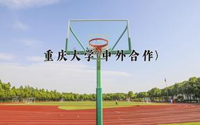 2024重庆大学(中外合作)录取分数线及位次一览：四川考生2025填报参考