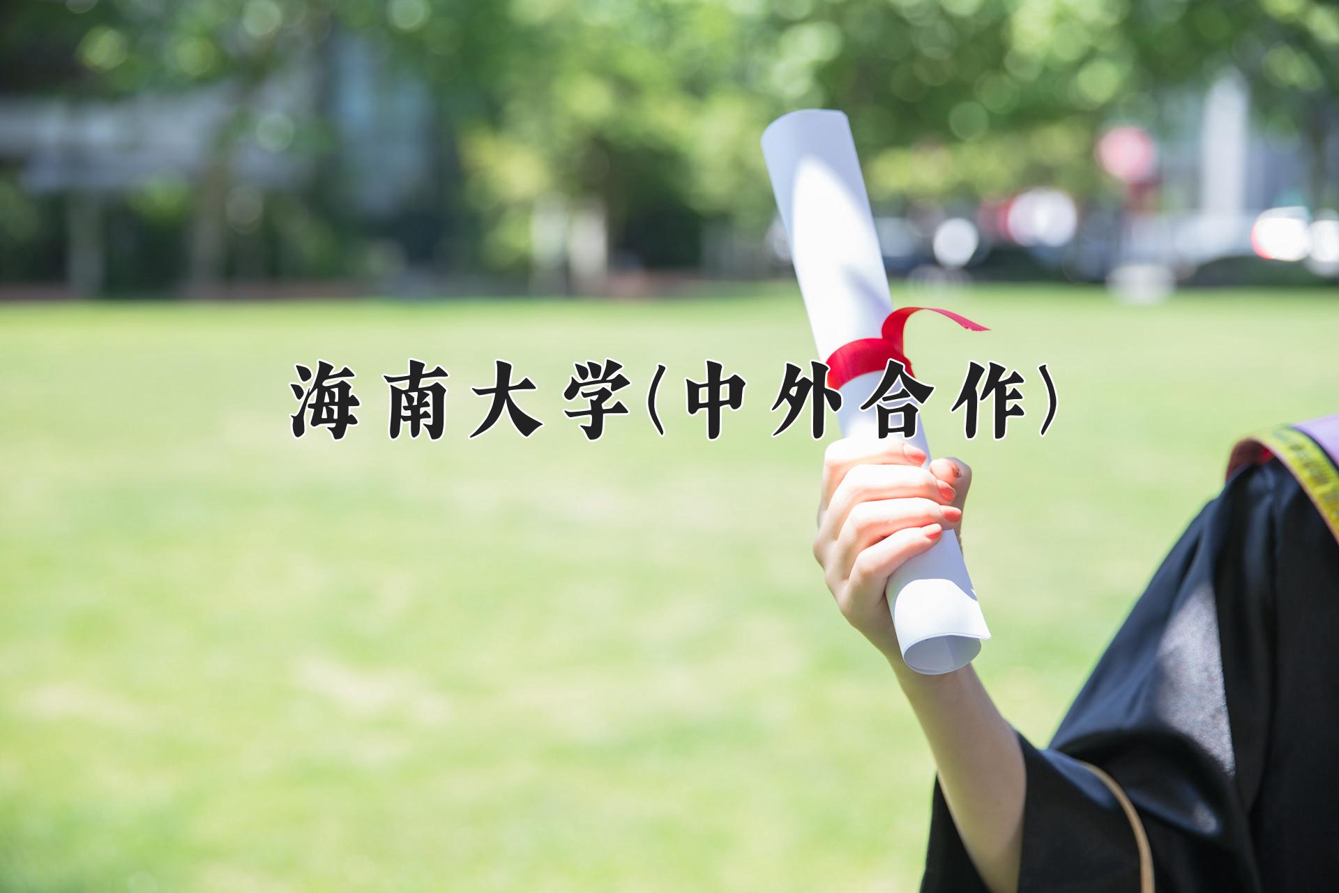 海南大学(中外合作)