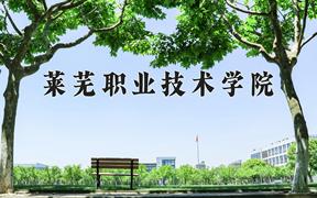 2024莱芜职业技术学院录取分数线及位次一览：四川考生2025填报参考