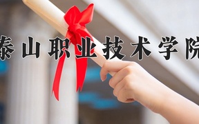 2024泰山职业技术学院录取分数线及位次一览：重庆考生2025填报参考