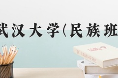 2024武汉大学(民族班)录取分数线及位次一览：四川考生2025填报参考