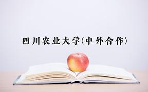 2024四川农业大学(中外合作)录取分数线及位次一览：四川考生2025填报参考